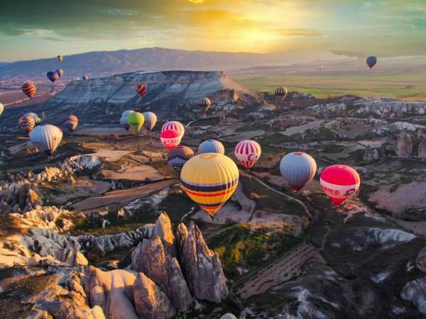 Activities offerd by Aayushtrip 